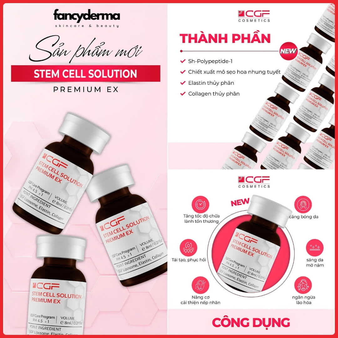Tinh Chất Tế Bào Gốc Thuần Chay STEM CELL SOLUTION PREMIUM EX, Hỗ Trợ Phục Hồi Da Tổn Thương, Dưỡng Ẩm Sâu, Cho Làn Da Mỏng & Giãn Mao Mạch 8ML x 10 15 chăm sóc chuyên sâu với STEM CELL SOLUTION PREMIUM EX, công nghệ Hàn Quốc giúp nuôi dưỡng làn da mỏng khỏe mạnh – sản phẩm chính hãng từ Fancyderma