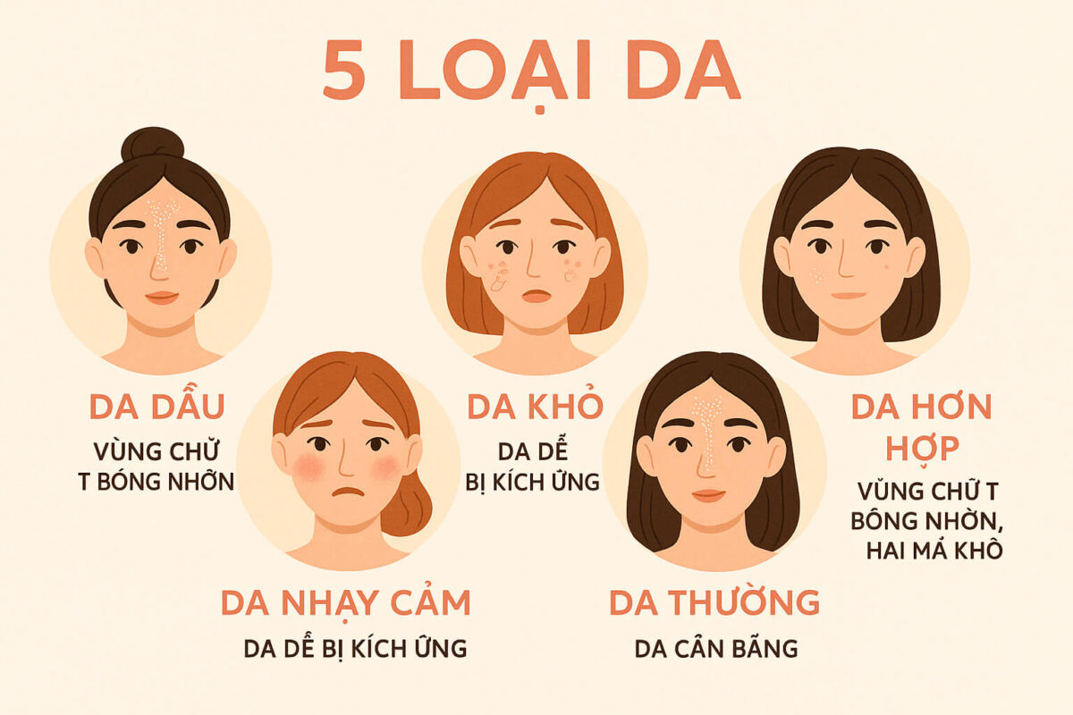 Infographic các loại da: da dầu, da khô, da nhạy cảm, da hỗn hợp, da thường