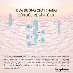 Vì Sao Tinh chất vi kim Prier Neige Eve Rich có thể cấp ẩm với công nghệ vi kim tái tạo da hiệu quả.