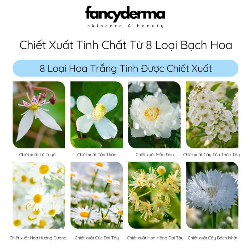 Mặt nạ dưỡng da Preier Neige Moist Rich, mặt nạ nhau thai từ Nhật Bản làm sáng da chiếu xuất 8 loài hoa