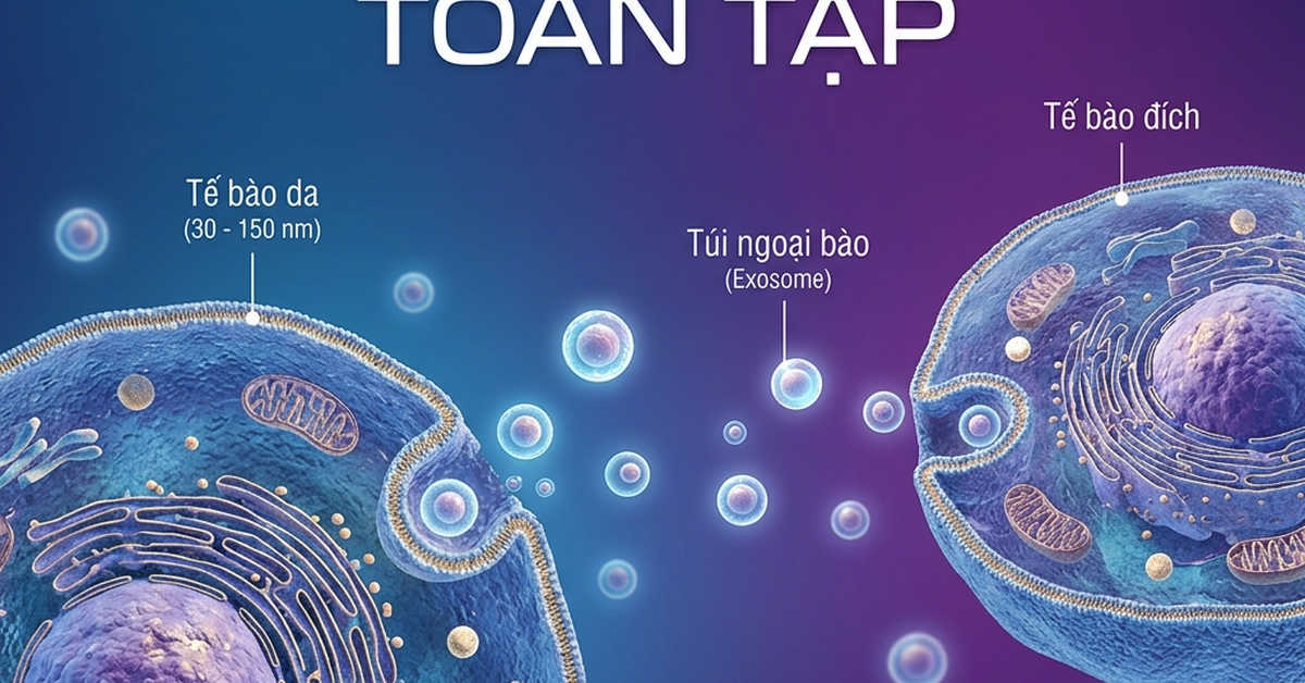 Exosome trong skincare công nghệ tái tạo da