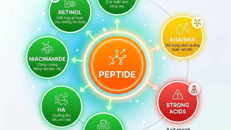 Peptide kết hợp với thành phần nào trong skincare