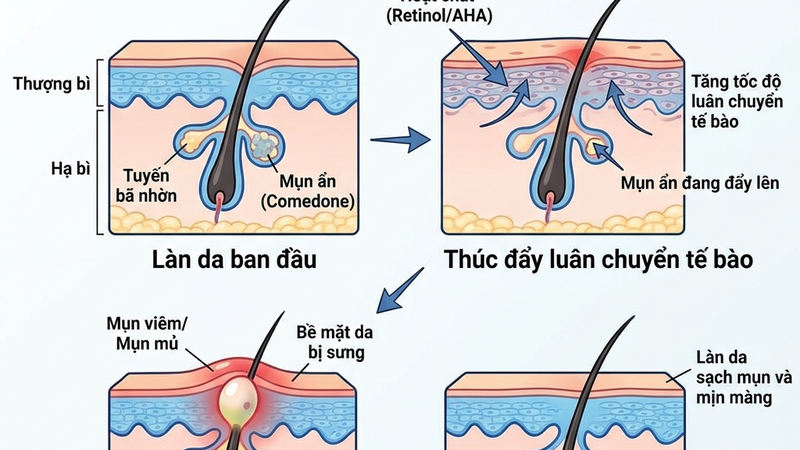 Cơ chế purging hoạt động