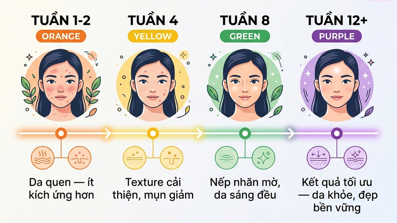 Timeline kết quả skin cycling