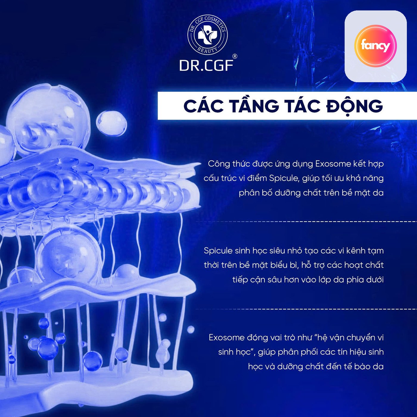 Kem Dưỡng Đêm DR.CGF Mela Exosome Spicule Night Cream, Hỗ Trợ Sáng Da, Mờ Thâm Và Cải Thiện Bề Mặt Da 50G - hình minh họa Fancyderma 2